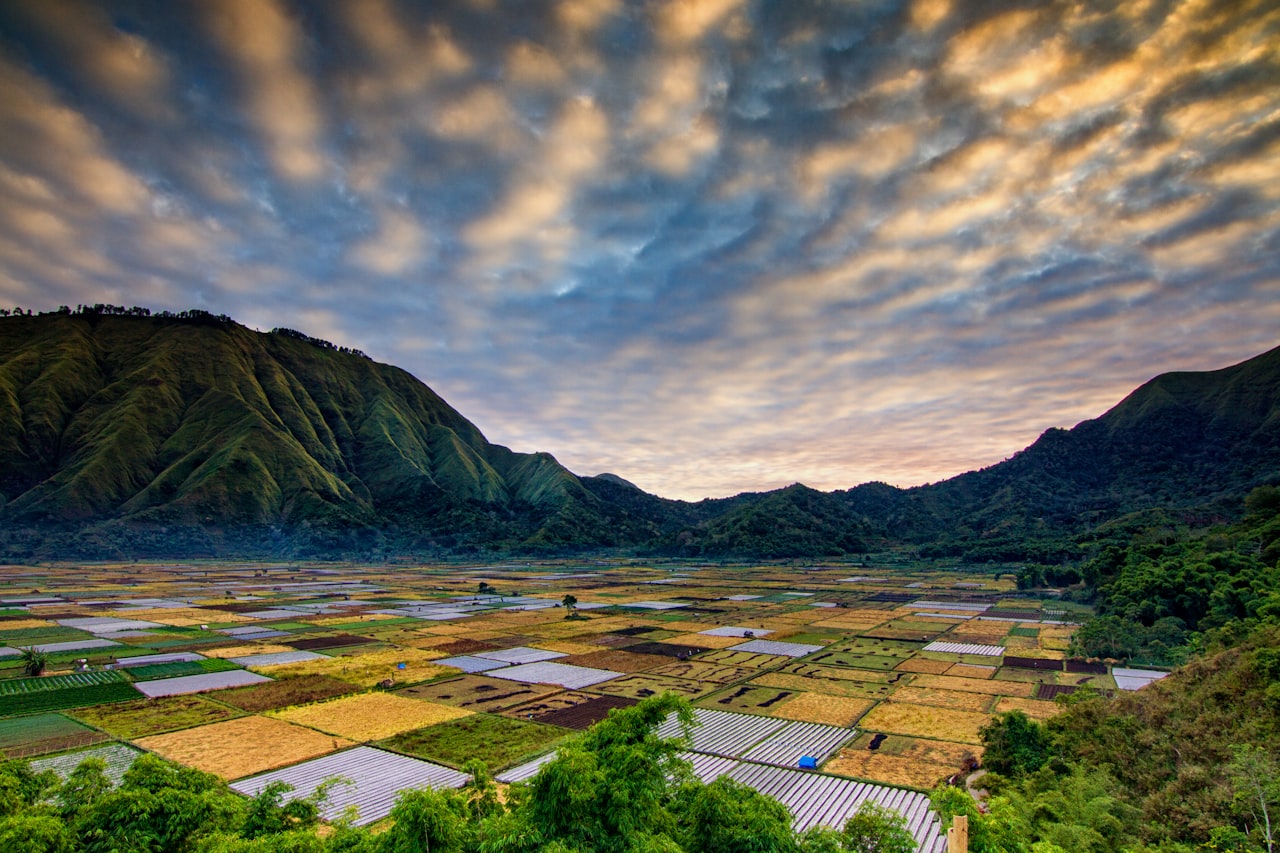山林温泉环境氛围图