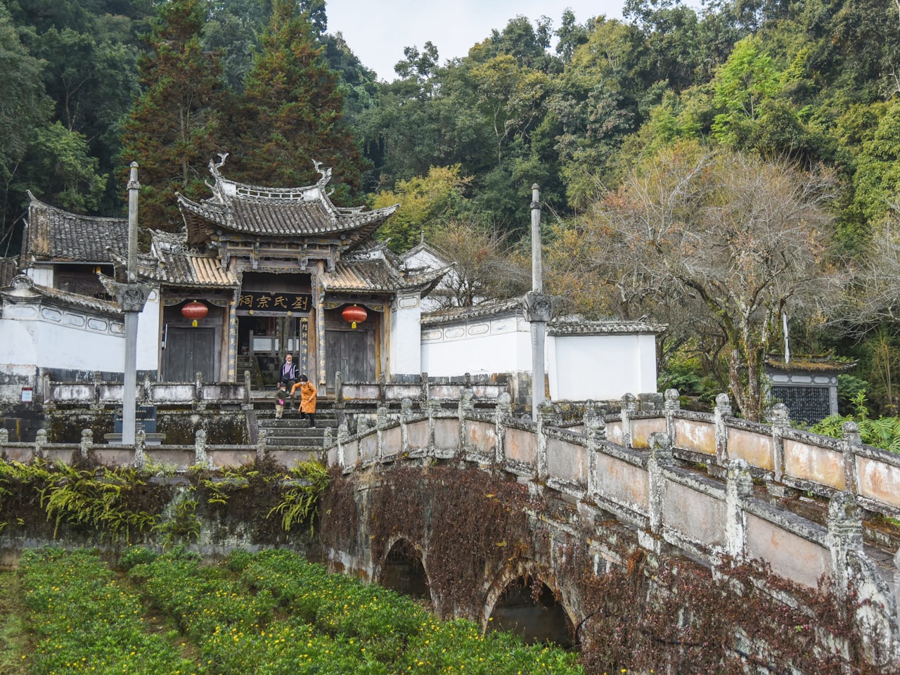 邮福兴红黑米加工厂代表景观